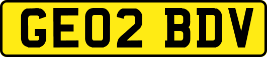 GE02BDV