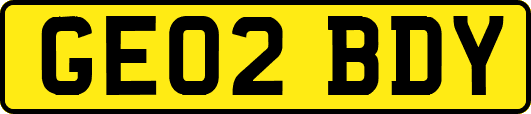 GE02BDY