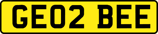 GE02BEE