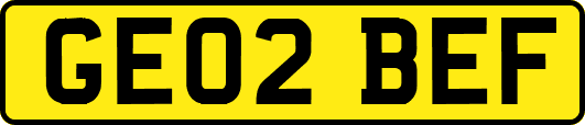 GE02BEF