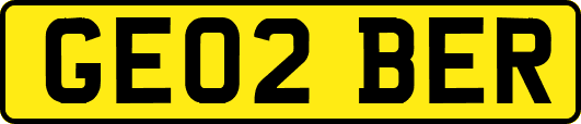 GE02BER
