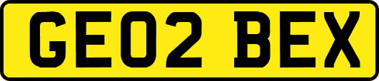 GE02BEX