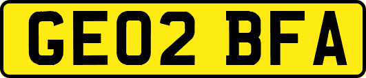 GE02BFA