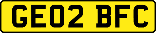 GE02BFC