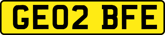 GE02BFE