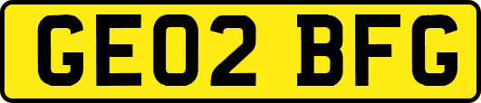 GE02BFG