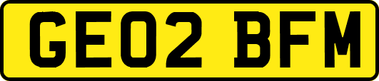 GE02BFM