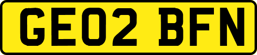 GE02BFN