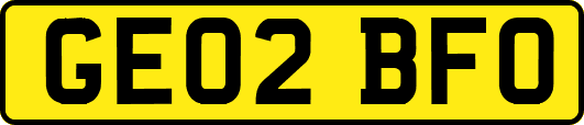 GE02BFO