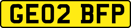 GE02BFP