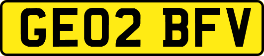 GE02BFV