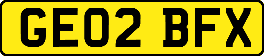 GE02BFX
