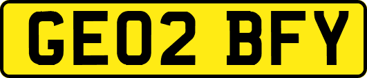 GE02BFY