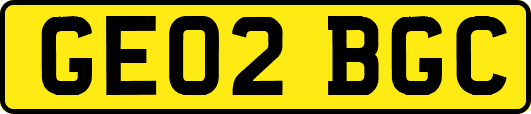 GE02BGC