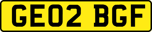 GE02BGF