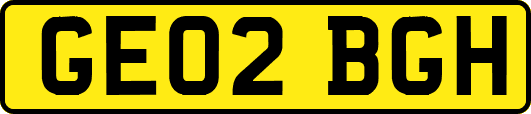 GE02BGH