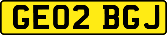 GE02BGJ