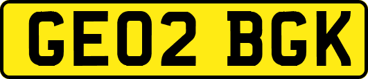 GE02BGK