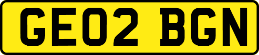 GE02BGN