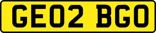 GE02BGO