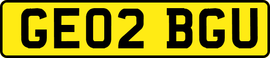GE02BGU