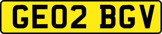 GE02BGV