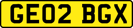 GE02BGX