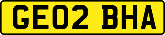 GE02BHA