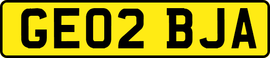 GE02BJA