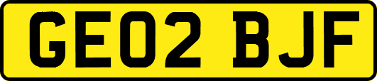 GE02BJF
