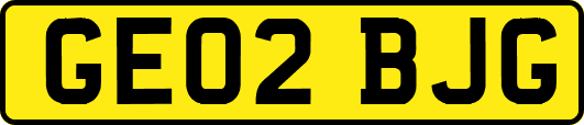 GE02BJG