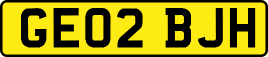 GE02BJH