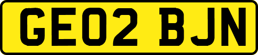 GE02BJN