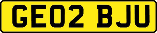 GE02BJU