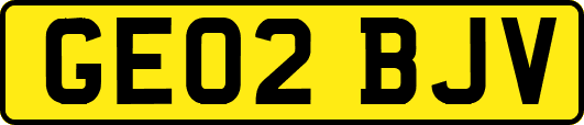 GE02BJV