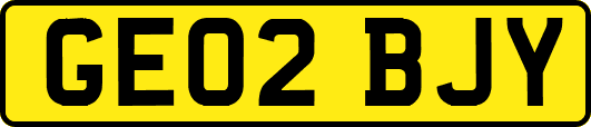 GE02BJY