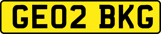 GE02BKG