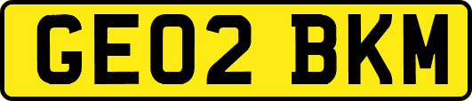 GE02BKM