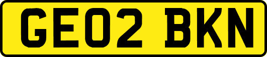 GE02BKN