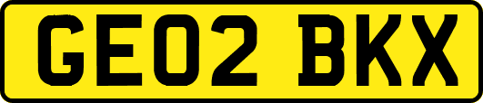GE02BKX