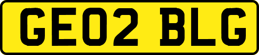 GE02BLG