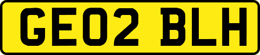 GE02BLH