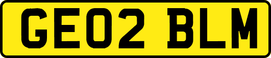 GE02BLM