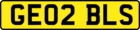 GE02BLS