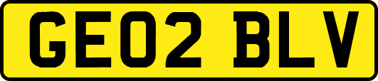 GE02BLV