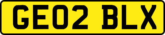 GE02BLX