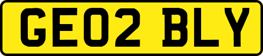 GE02BLY