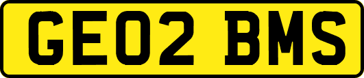 GE02BMS