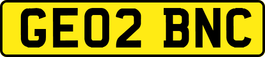 GE02BNC