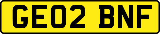 GE02BNF